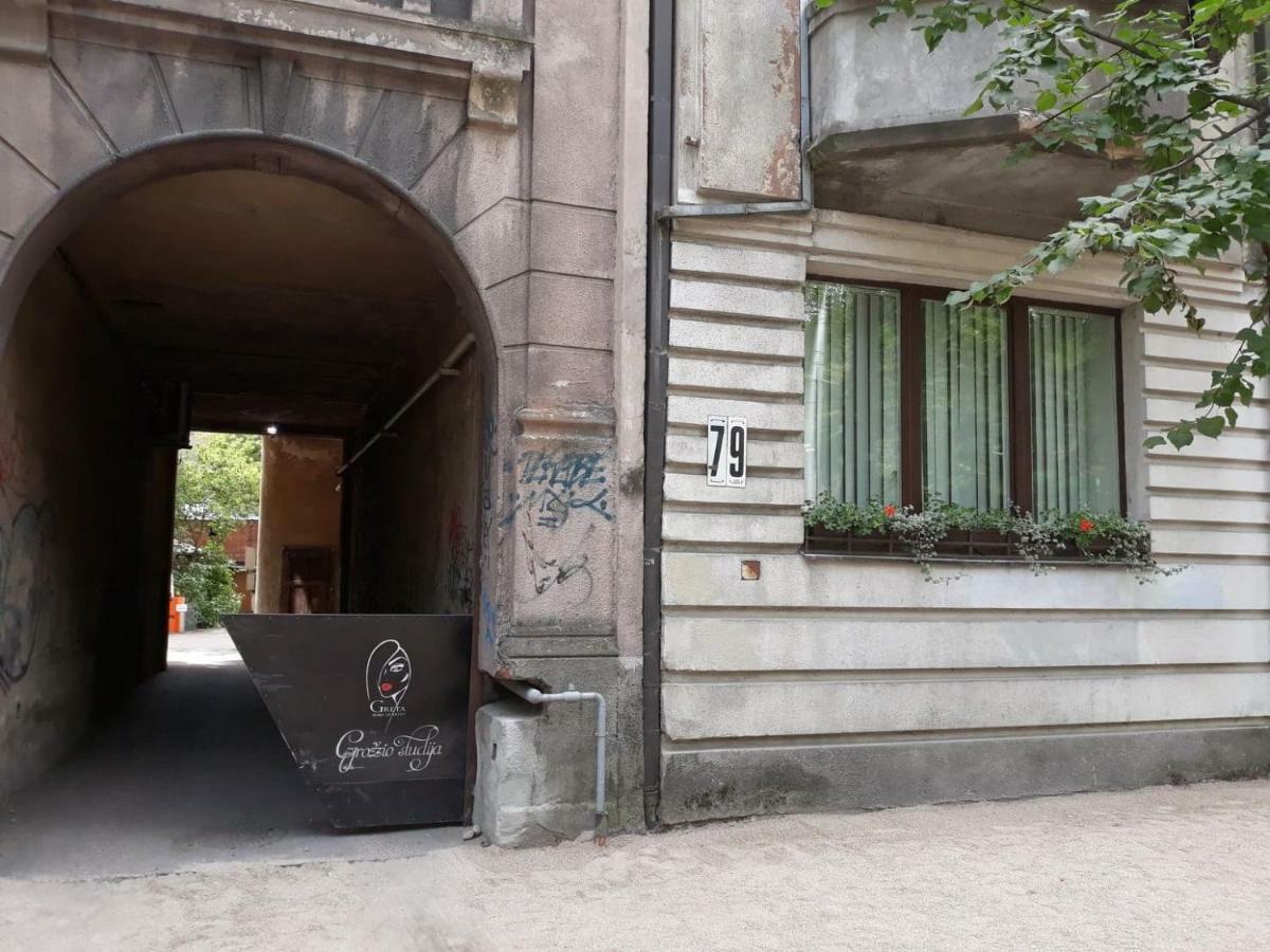 Stay In Kaunas - Free Parking Εξωτερικό φωτογραφία